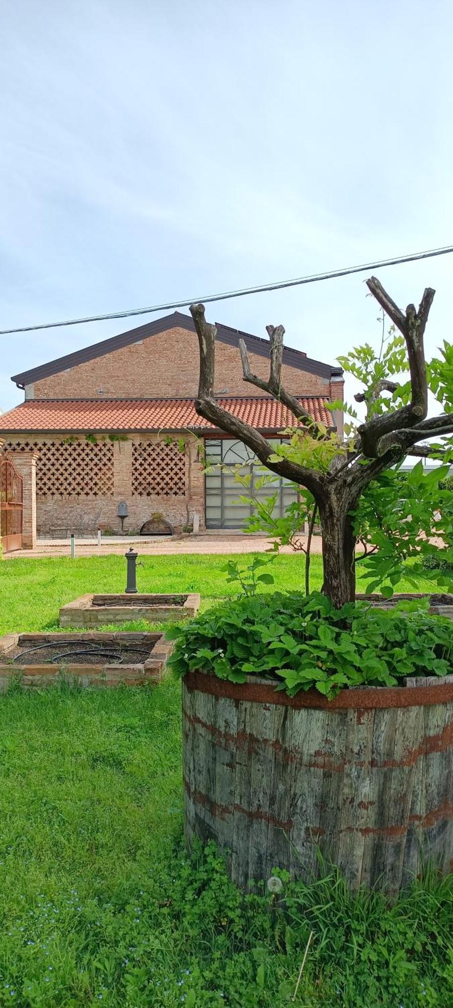 B&B Rocambola Nogara Buitenkant foto